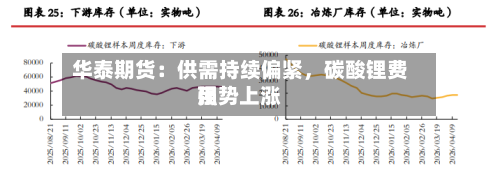 华泰期货：供需持续偏紧，碳酸锂费用强势上涨-第3张图片