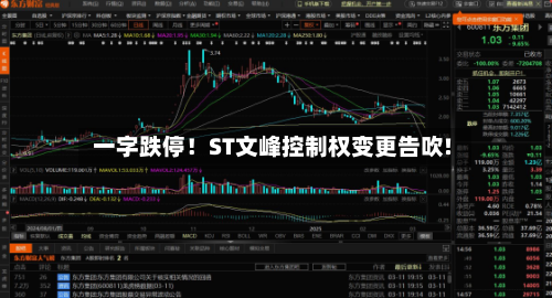 一字跌停!ST文峰控制权变更告吹!-第3张图片