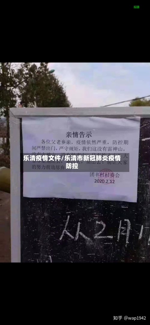 乐清疫情文件/乐清市新冠肺炎疫情防控