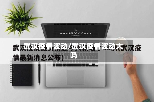 武汉疫情波动/武汉疫情波动大吗