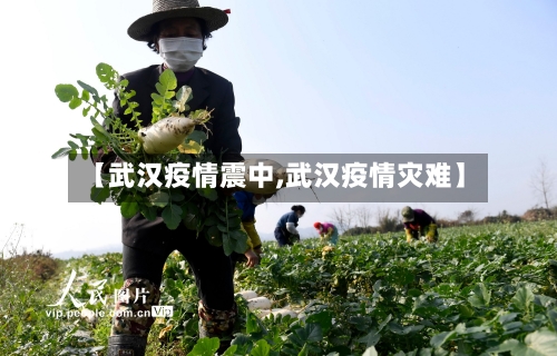 【武汉疫情震中,武汉疫情灾难】