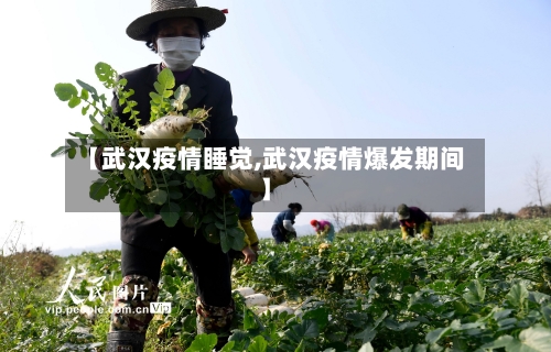 【武汉疫情睡觉,武汉疫情爆发期间】
