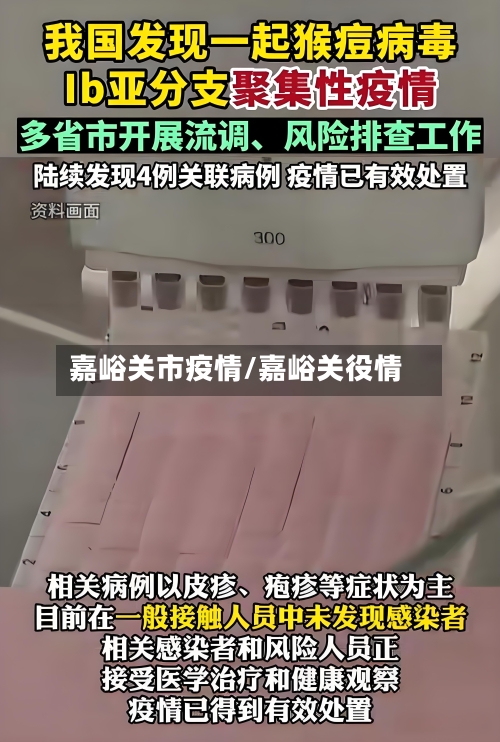 嘉峪关市疫情/嘉峪关役情