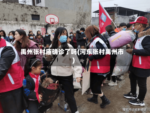 禹州张村庙确诊了吗(河东张村禹州市)