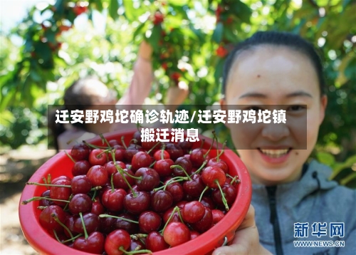 迁安野鸡坨确诊轨迹/迁安野鸡坨镇搬迁消息