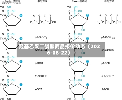 羟基乙叉二磷酸商品报价动态（2026-08-22）-第1张图片