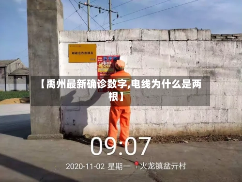 【禹州最新确诊数字,电线为什么是两根】
