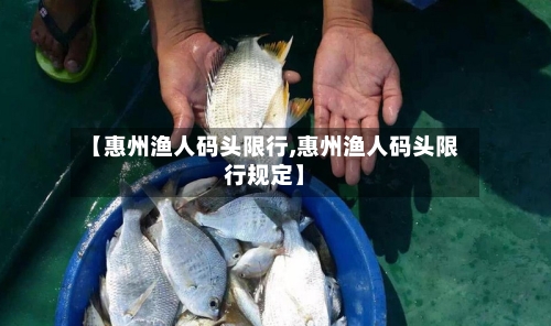 【惠州渔人码头限行,惠州渔人码头限行规定】