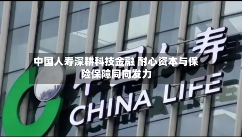 中国人寿深耕科技金融 耐心资本与保险保障同向发力