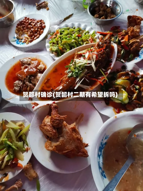 贺邵村确诊(贺韶村二期有希望拆吗)
