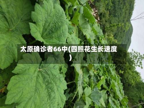 太原确诊者66中(四照花生长速度)