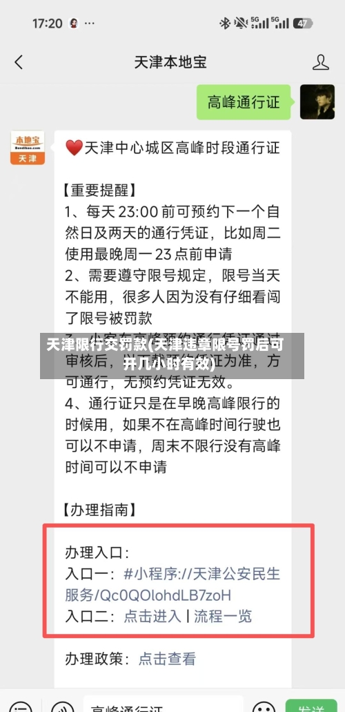 天津限行交罚款(天津违章限号罚后可开几小时有效)