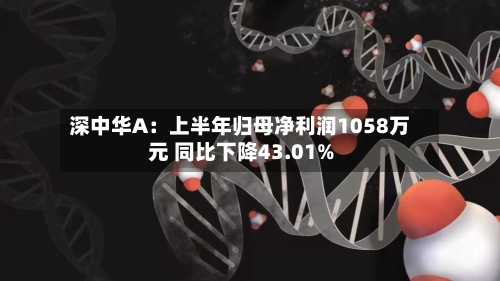 深中华A：上半年归母净利润1058万元 同比下降43.01%