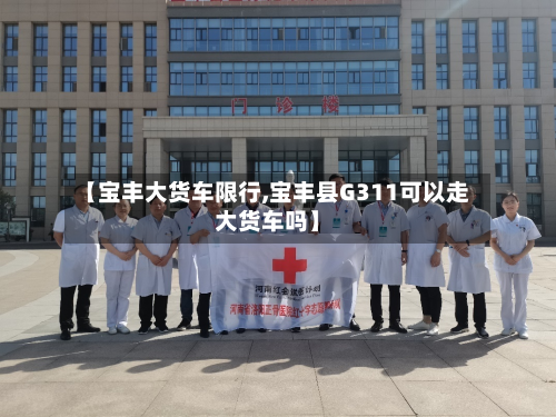 【宝丰大货车限行,宝丰县G311可以走大货车吗】