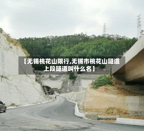 【无锡桃花山限行,无锡市桃花山隧道上段隧道叫什么名】