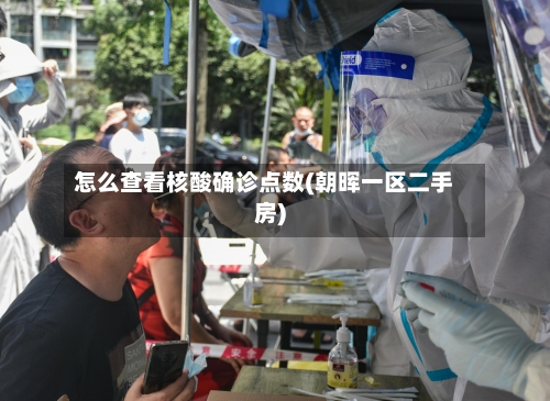 怎么查看核酸确诊点数(朝晖一区二手房)