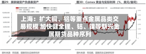 上海：扩大铜、铝等重点金属品类交易规模 加快健全锂、钴、镍等新兴金属期货品种序列