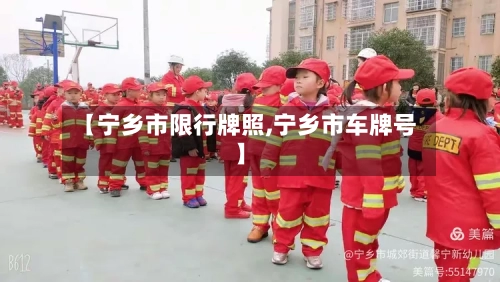 【宁乡市限行牌照,宁乡市车牌号】