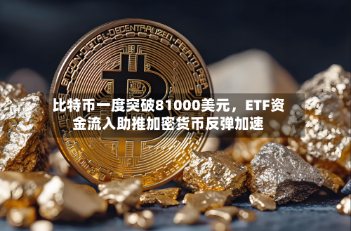 比特币一度突破81000美元，ETF资金流入助推加密货币反弹加速-第1张图片