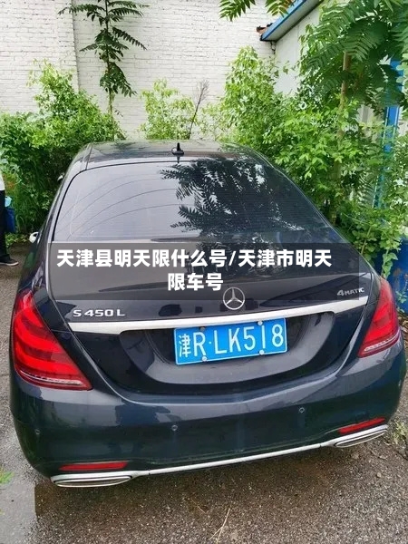 天津县明天限什么号/天津市明天限车号