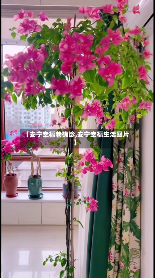 【安宁幸福巷确诊,安宁幸福生活图片】