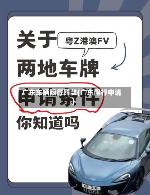 广东车辆限行罚款(广东限行申请)