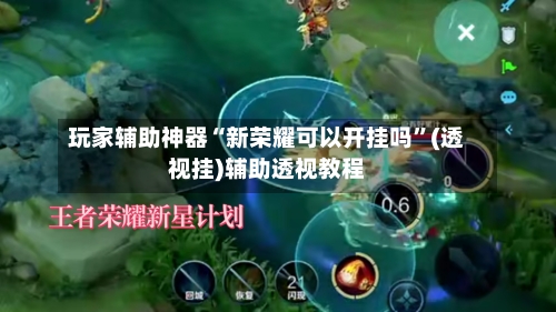 玩家辅助神器“新荣耀可以开挂吗”(透视挂)辅助透视教程