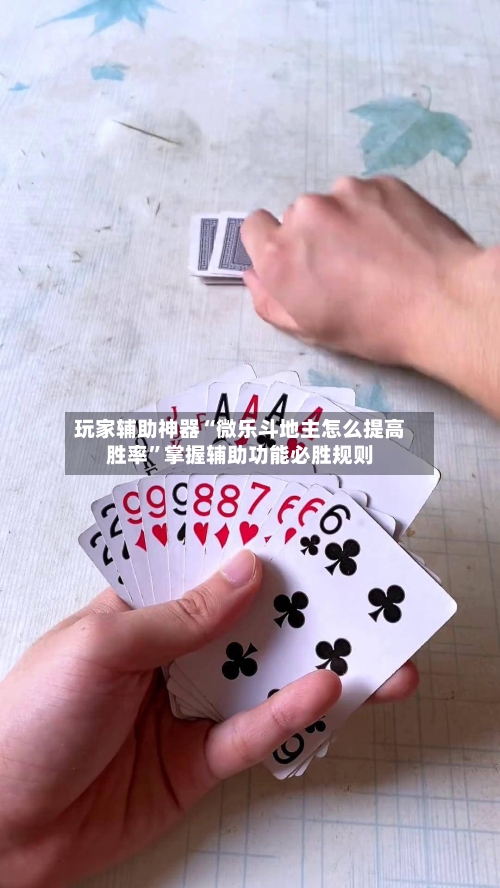 玩家辅助神器“微乐斗地主怎么提高胜率”掌握辅助功能必胜规则