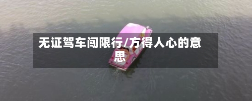 无证驾车闯限行/方得人心的意思