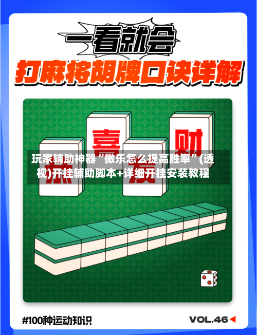 玩家辅助神器“微乐怎么提高胜率”(透视)开挂辅助脚本+详细开挂安装教程