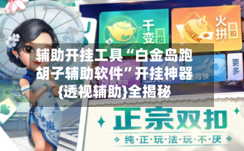 辅助开挂工具“白金岛跑胡子辅助软件”开挂神器{透视辅助}全揭秘