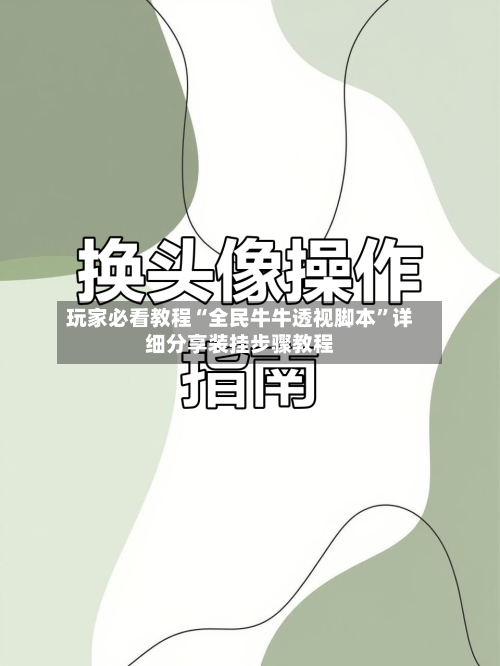 玩家必看教程“全民牛牛透视脚本”详细分享装挂步骤教程