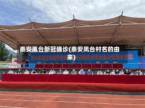 泰安凤台新冠确诊(泰安凤台村名的由来)