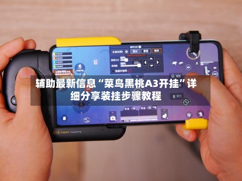 辅助最新信息“菜鸟黑桃A3开挂”详细分享装挂步骤教程