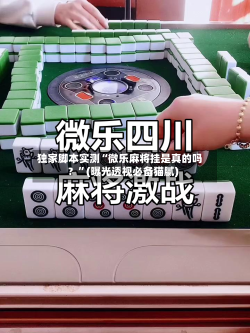 独家脚本实测“微乐麻将挂是真的吗？”(曝光透视必备猫腻)