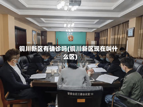 铜川新区有确诊吗(铜川新区现在叫什么区)