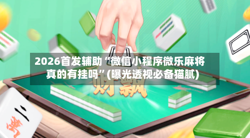 2026首发辅助“微信小程序微乐麻将真的有挂吗”(曝光透视必备猫腻)