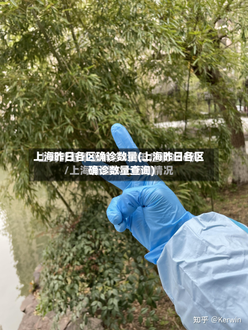 上海昨日各区确诊数量(上海昨日各区确诊数量查询)