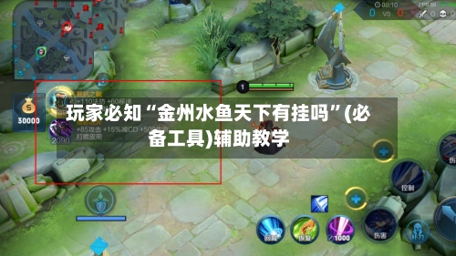 玩家必知“金州水鱼天下有挂吗”(必备工具)辅助教学