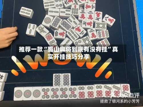 推荐一款“蜀山麻将到底有没有挂”真实开挂技巧分享
