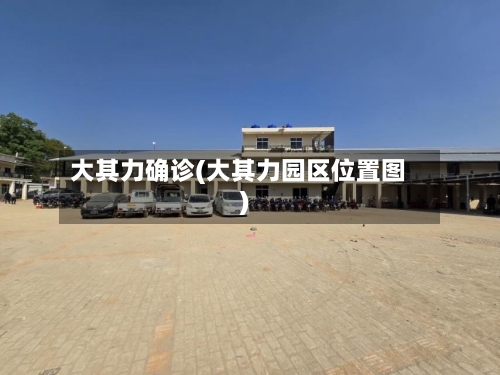 大其力确诊(大其力园区位置图)