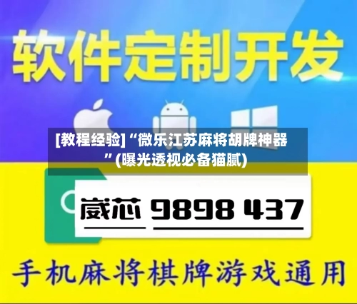 [教程经验]“微乐江苏麻将胡牌神器”(曝光透视必备猫腻)
