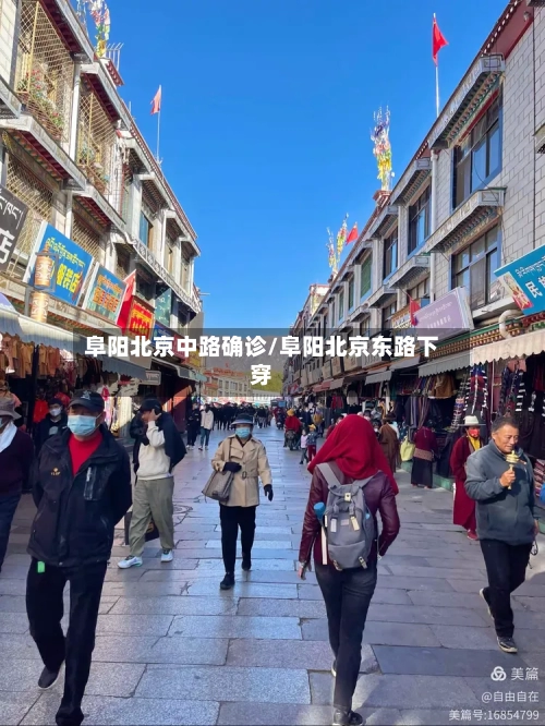 阜阳北京中路确诊/阜阳北京东路下穿