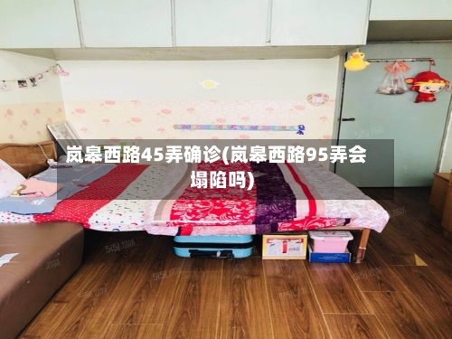 岚皋西路45弄确诊(岚皋西路95弄会塌陷吗)