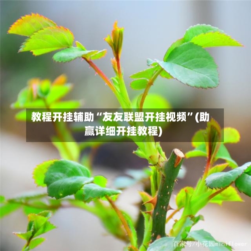 教程开挂辅助“友友联盟开挂视频”(助赢详细开挂教程)