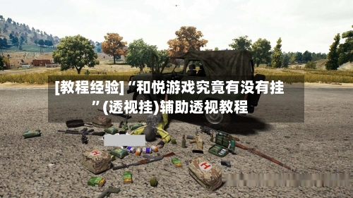[教程经验]“和悦游戏究竟有没有挂”(透视挂)辅助透视教程