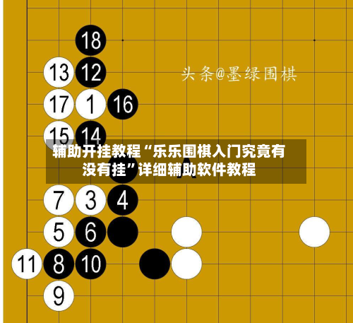 辅助开挂教程“乐乐围棋入门究竟有没有挂”详细辅助软件教程