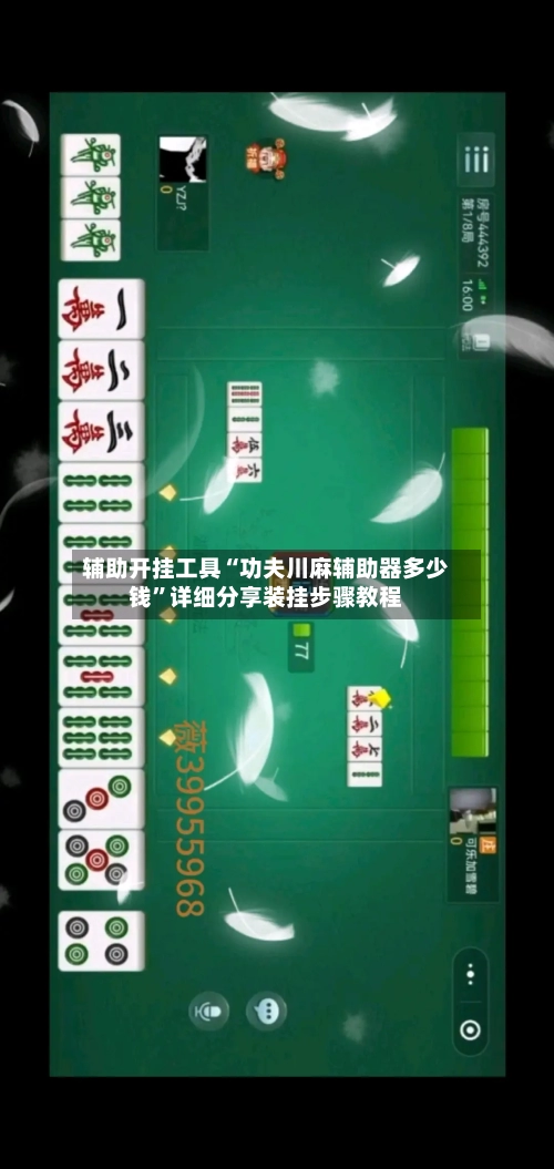 辅助开挂工具“功夫川麻辅助器多少钱”详细分享装挂步骤教程