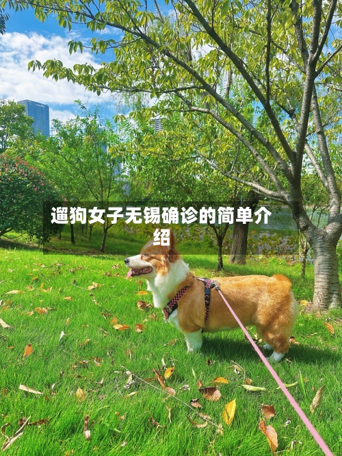 遛狗女子无锡确诊的简单介绍