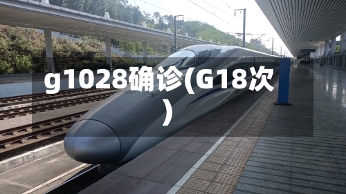g1028确诊(G18次)
